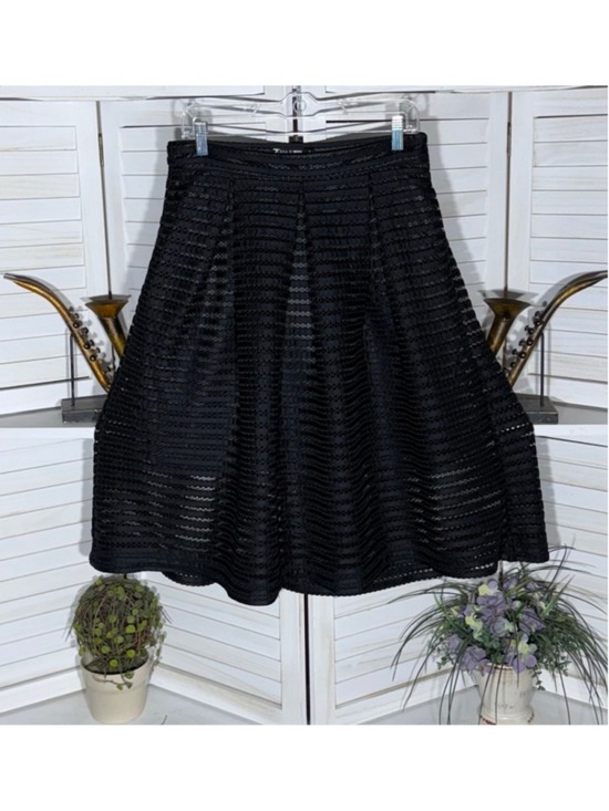NYC Dresses & Skirts - Black skirt full swing midi mesh whimsigoth festival cocktail wedding guest sz 6